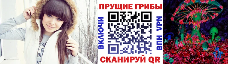 Галлюциногенные грибы мицелий  Дмитров 