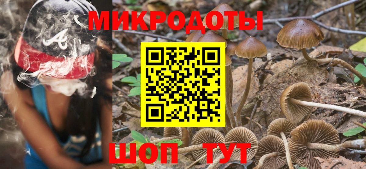 Псилоцибиновые грибы мицелий Дмитров