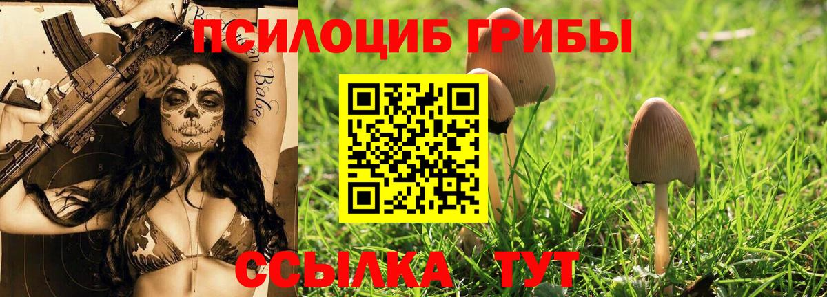 Галлюциногенные грибы GOLDEN TEACHER  Псилоцибиновые грибы мицелий  Вход с VPN  Дмитров 