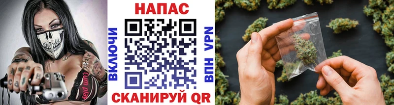 Бошки марихуана Amnesia  даркнет сайт  Дмитров 